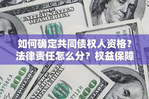 济南如何确定共同债权人资格？法律责任怎么分？权益保障技巧揭秘！