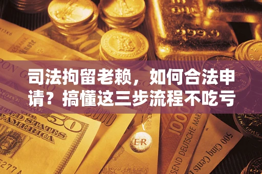济南司法拘留老赖，如何合法申请？搞懂这三步流程不吃亏！