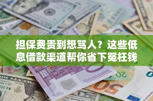 济南担保费贵到想骂人？这些低息借款渠道帮你省下冤枉钱