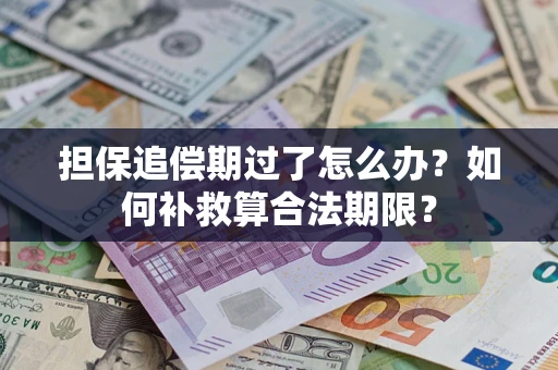 济南担保追偿期过了怎么办？如何补救算合法期限？
