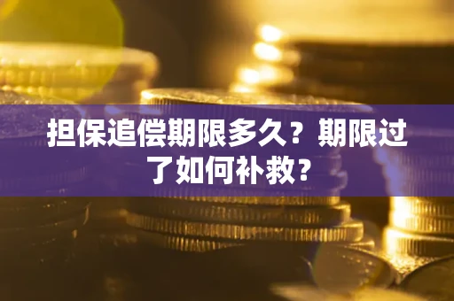 济南担保追偿期限多久？期限过了如何补救？