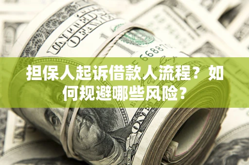 济南担保人起诉借款人流程？如何规避哪些风险？
