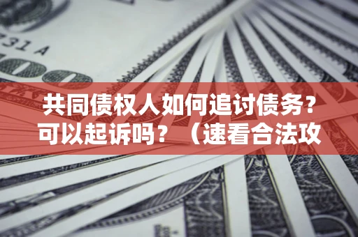 济南共同债权人如何追讨债务？可以起诉吗？（速看合法攻略）