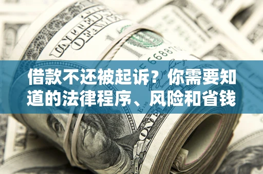 济南借款不还被起诉？你需要知道的法律程序、风险和省钱技巧