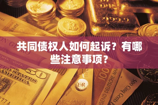 济南共同债权人如何起诉？有哪些注意事项？